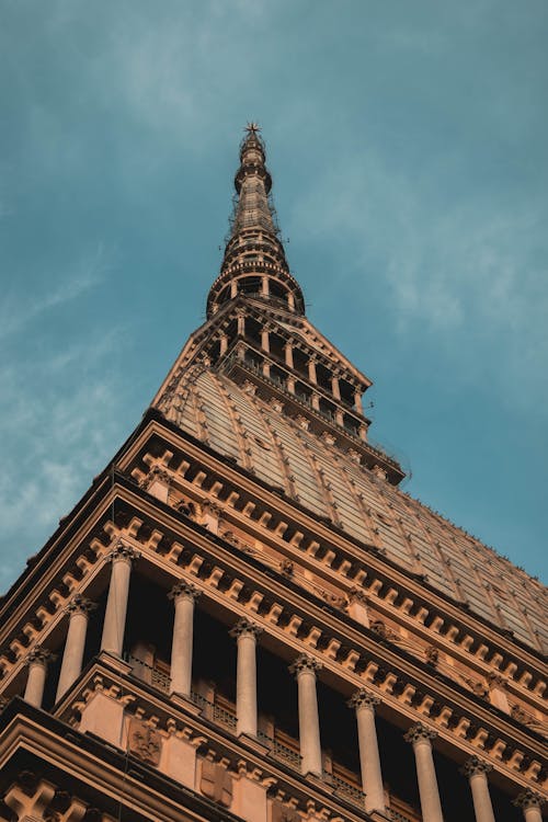 contatti blackout Torino